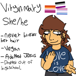 the_virgin_mary____0_by_biblefan_dg68u34.png