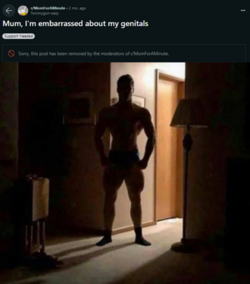 1715623385467.png