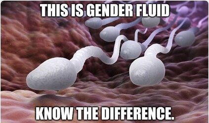 1715660833848.jpeg