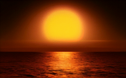 4.GIF
