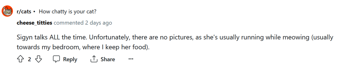 siggy.PNG