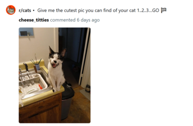 siggy2.PNG