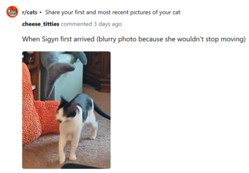 siggy3.PNG