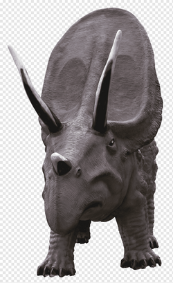 png-transparent-brown-triceratops-triceratops-dinosaur-dinosaur-fauna-head-terrestrial-animal[1].png
