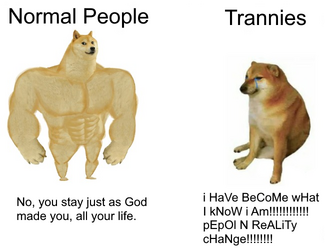 fixed troon meme 3.png