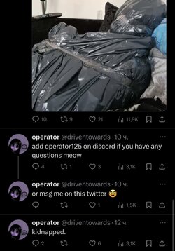 IMG_4175.jpeg