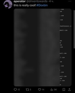 IMG_4178.jpeg IMG_4178.jpeg