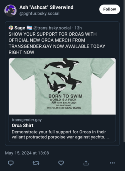 c2.png