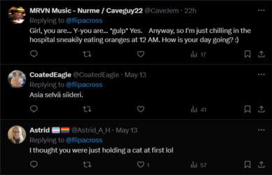 FireShot Capture 1686 - ava (@flipacross) _ X - twitter.com.png