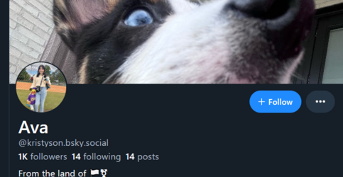 FireShot Capture 1699 - Ava (@kristyson.bsky.social) — Bluesky - bsky.app.png