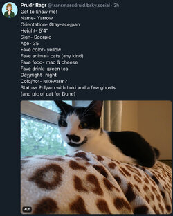 IMG_6411.jpeg