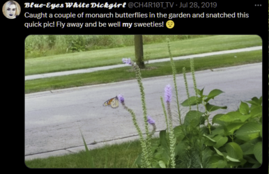 1715957893912.png