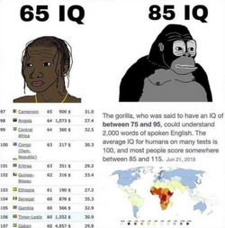 IMG_9713.png