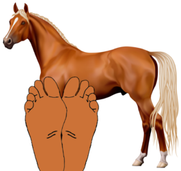 1716063842179.png