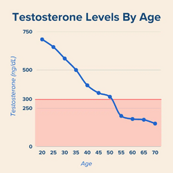 Testosterone-Levels-By-Age-Chart-1024x1024.png