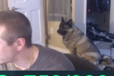 1716097955540.png