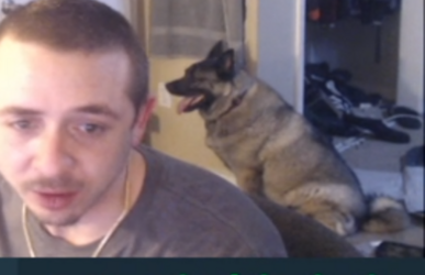1716097966838.png