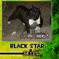 dawg.png