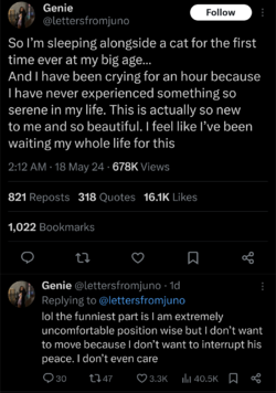 Screenshot_20240519-160251.png