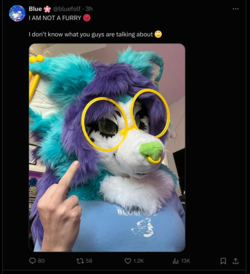 Flipping the camera off.png