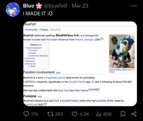 Bluefolf wikifur.jpg
