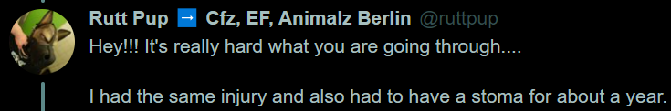 foxb5b.png