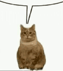 1716228652791.png