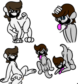 1716238500850.png