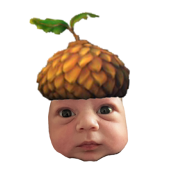 BAB39667-0A1E-4A9B-A899-C8B842E21712.png