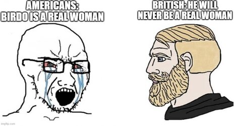 8qu0mv.jpg