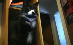 KINDLE_CAMERA_1401645361000.jpg