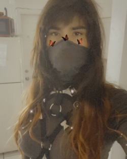 1716416638590.png