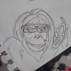 20240508_161843.jpg