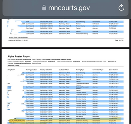 MN Court Record.png