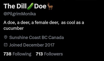 Dill Doe_X.jpg