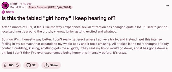Tranny L post 5.jpg