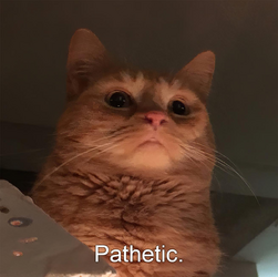 Pathetic.png