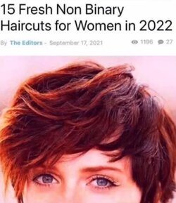 dmvds6fn912d1.jpeg