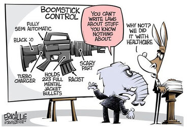 Gun-Control-Political-Cartoon.jpg