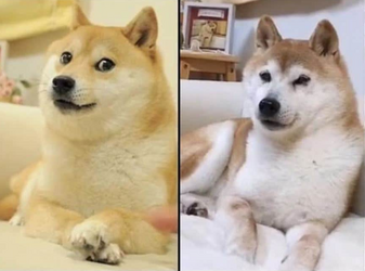 1716537961625.png
