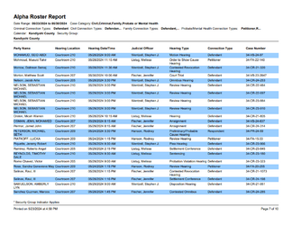 Kandiyohi County docket.png