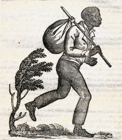 1716553470743.png