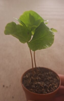 20240524_164123.jpg