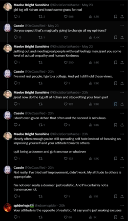 FireShot Capture 1733 - Cassie on X_ _https___t.co_b0NXUI7Get_ _ X - twitter.com.png