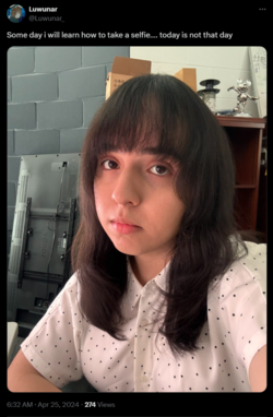 FireShot Capture 1753 - Luwunar on X_ _Some day i will learn how to take a selfie…. today is_ ...png
