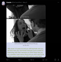 FireShot Capture 1763 - Cassie (@DeCassified) _ X - twitter.com.png