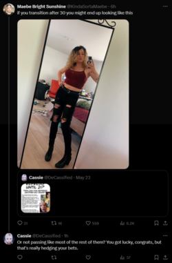 FireShot Capture 1791 - Posts with replies by Cassie (@DeCassified) _ X - twitter.com.png