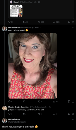 FireShot Capture 1792 - Michelle Roy on X_ _@KindaSortaMaebe Thank you. Estrogen is a miracl_ ...png