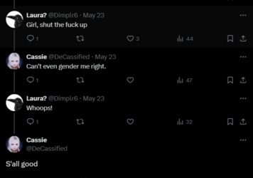 FireShot Capture 1801 - Cassie on X_ _@Dimplr6 S'all good_ _ X - twitter.com.png
