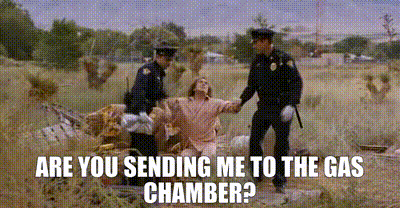 bcc8cbb9-219e-4a9f-8bb5-4e8811beaa11_text.gif